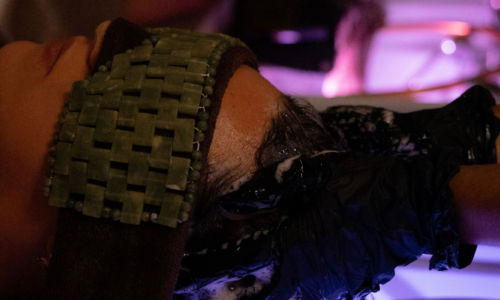 header (18)